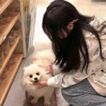 怪物小精灵手游下载